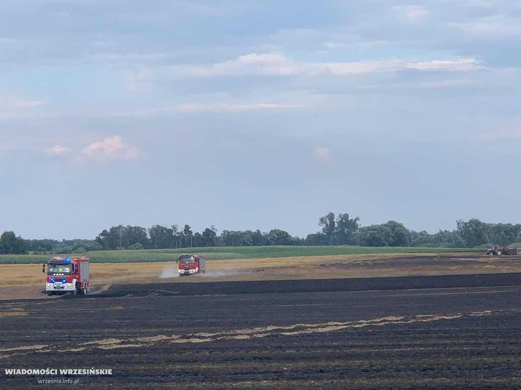 Pożar pola. Do działań skierowano liczne siły