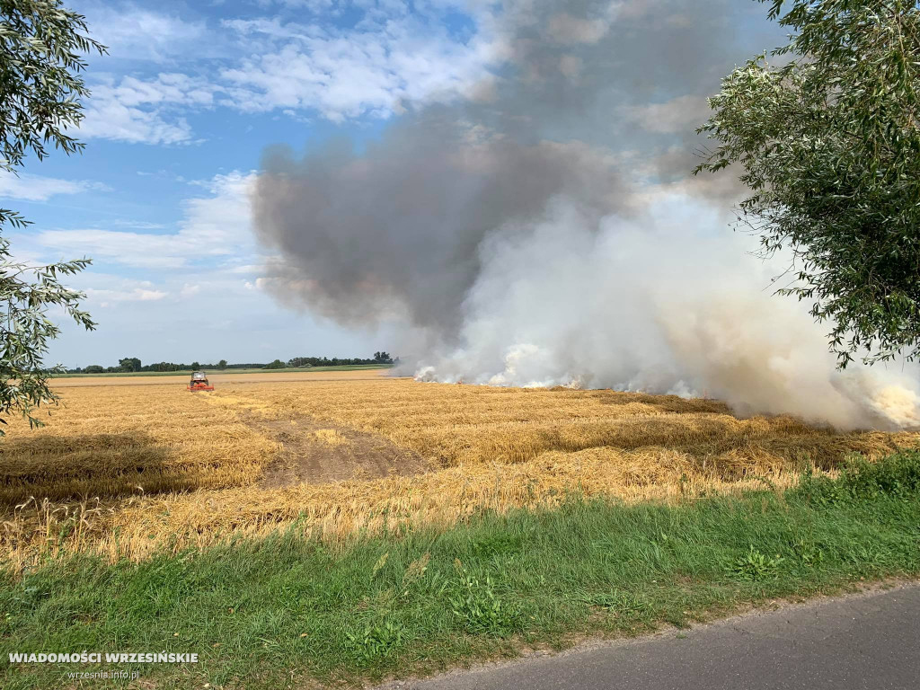 Pożar pola. Do działań skierowano liczne siły
