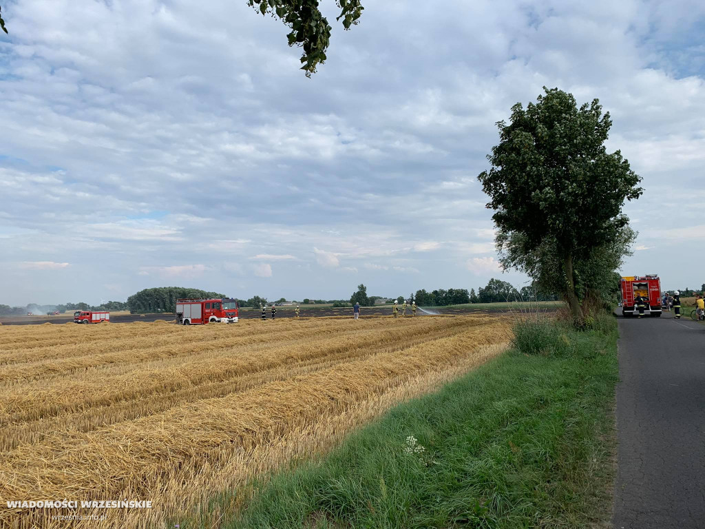Pożar pola. Do działań skierowano liczne siły