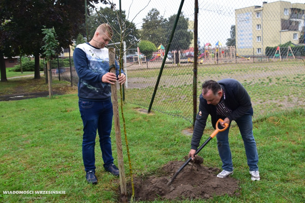 Zielona akcja Projektu Września