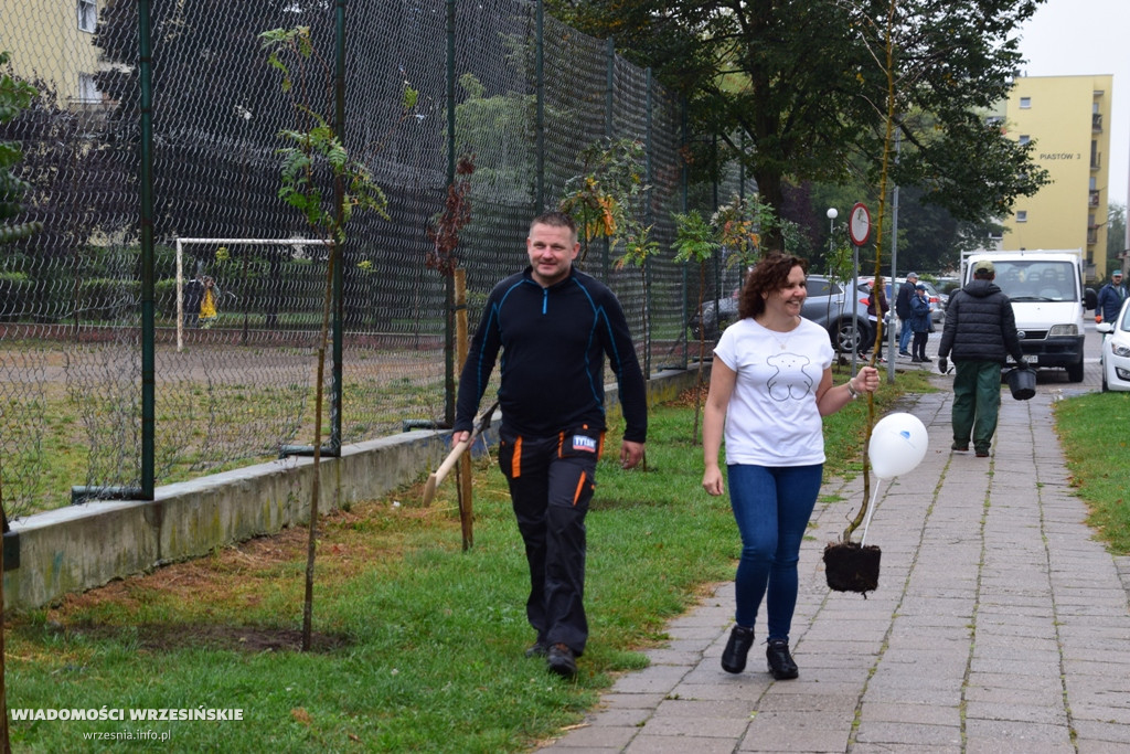 Zielona akcja Projektu Września