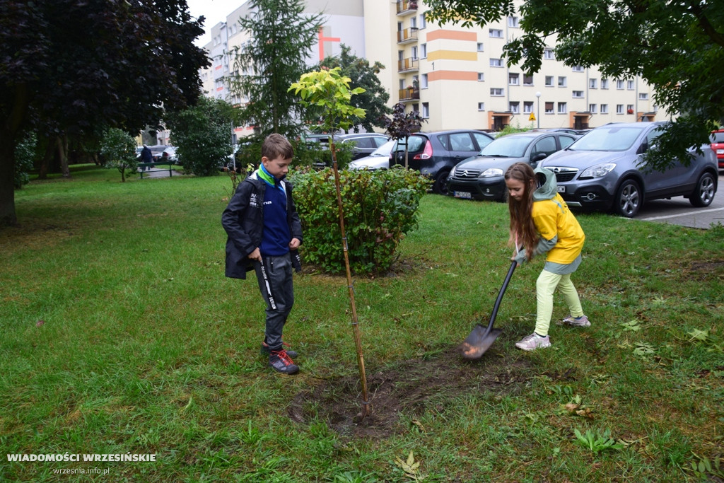 Zielona akcja Projektu Września