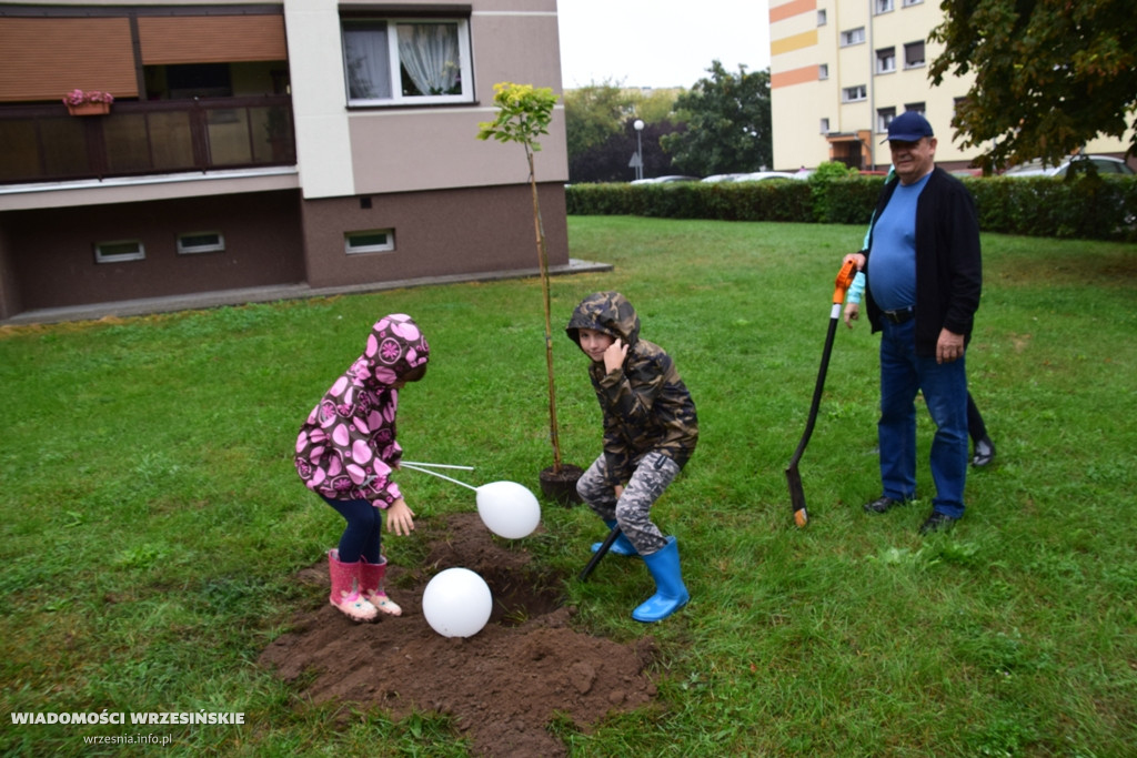 Zielona akcja Projektu Września