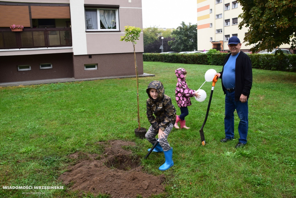 Zielona akcja Projektu Września