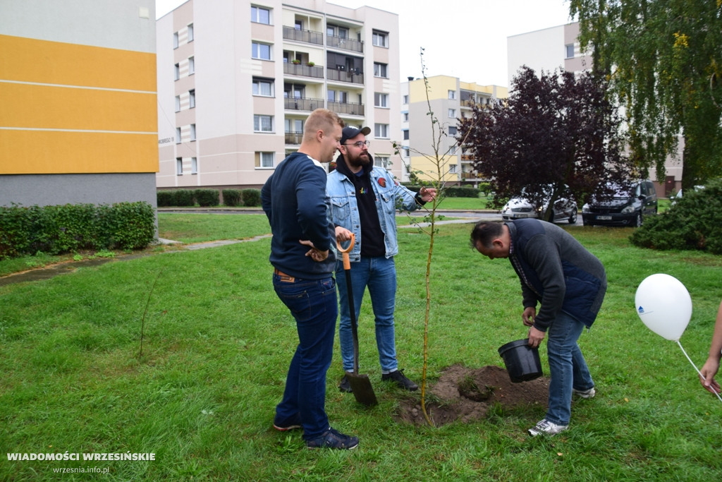 Zielona akcja Projektu Września