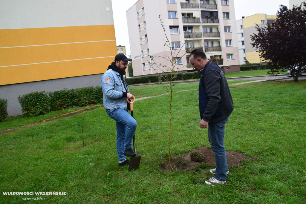 Zielona akcja Projektu Września