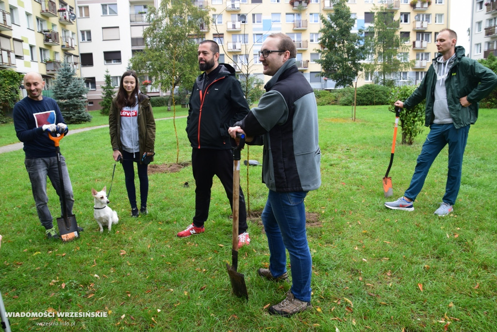 Zielona akcja Projektu Września