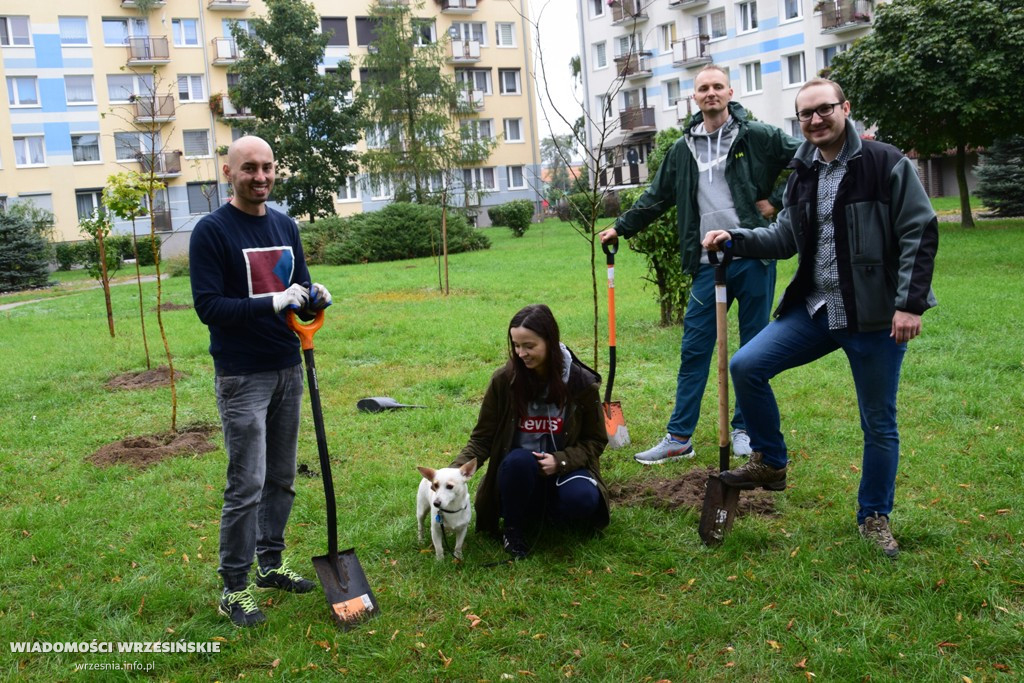 Zielona akcja Projektu Września