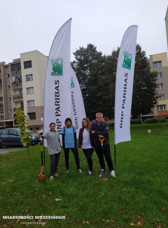 Zielona akcja Projektu Września