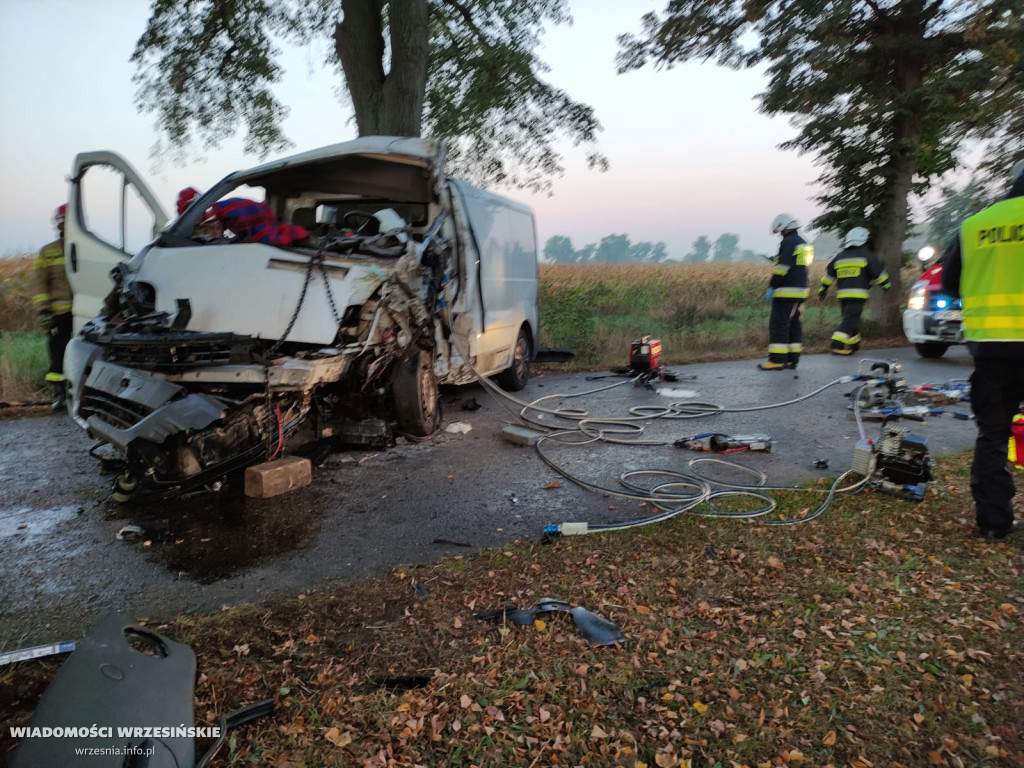 Uderzył w drzewo. Trzeba było wydobyć kierowcę