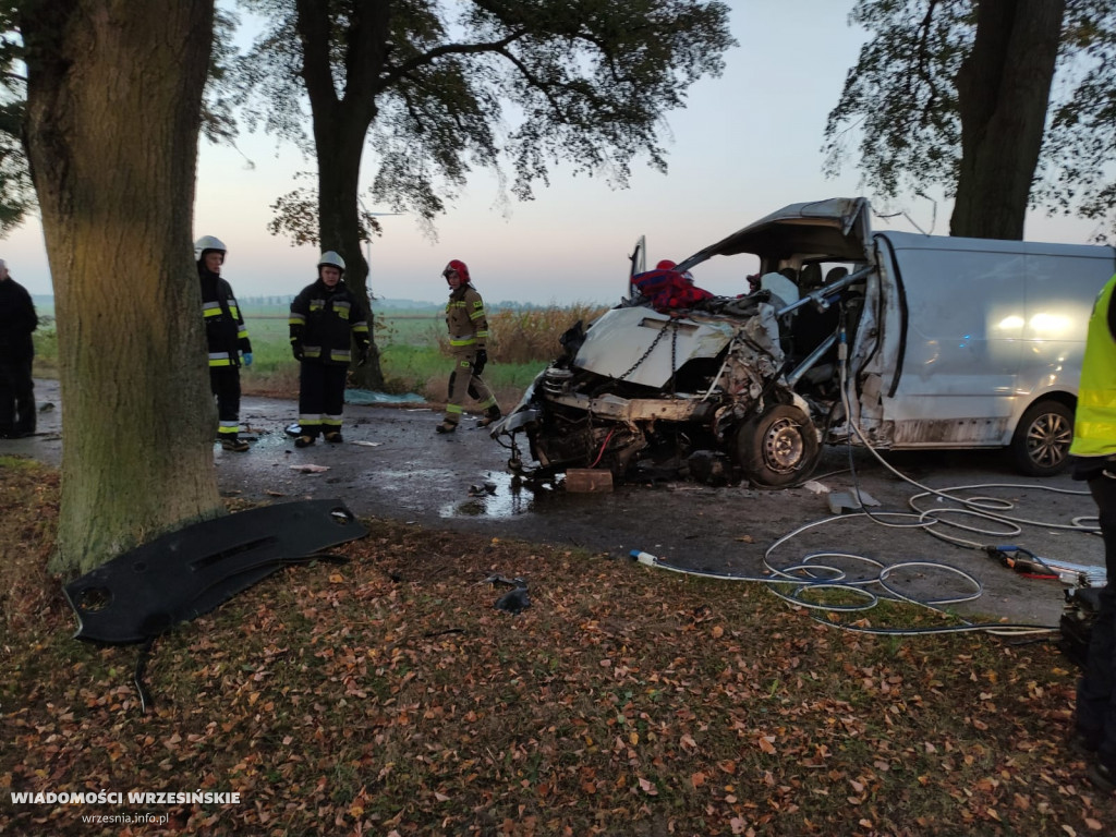 Uderzył w drzewo. Trzeba było wydobyć kierowcę