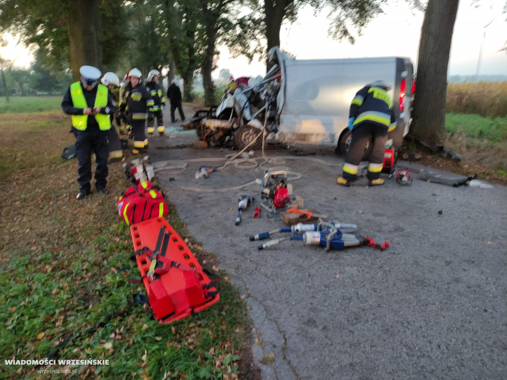 Uderzył w drzewo. Trzeba było wydobyć kierowcę