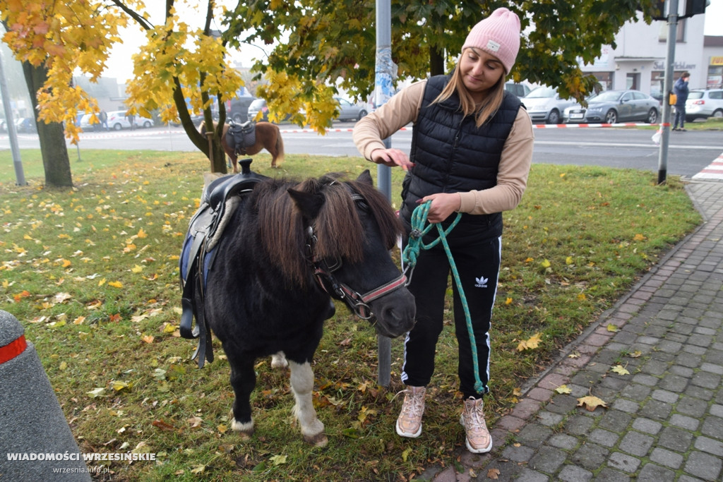 30. Targi Rolnicza Jesień