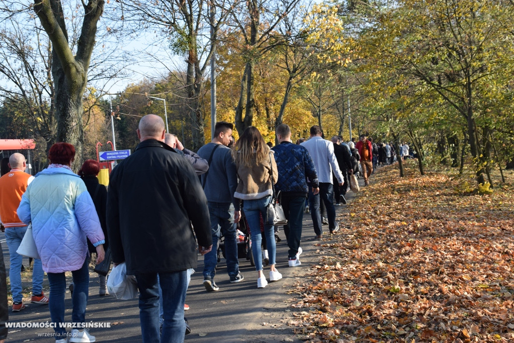 Uroczystość Wszystkich Świętych we Wrześni