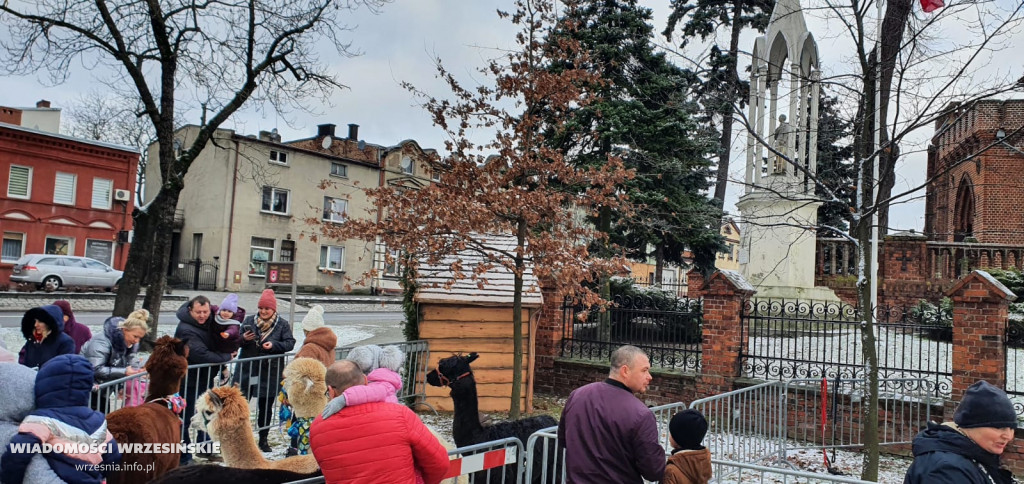 Żywa szopka przyciąga tłumy mieszkańców