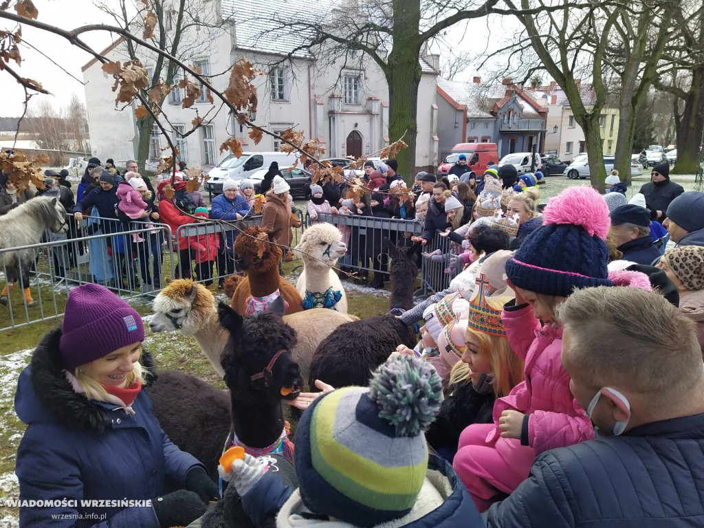 Żywa szopka przyciąga tłumy mieszkańców