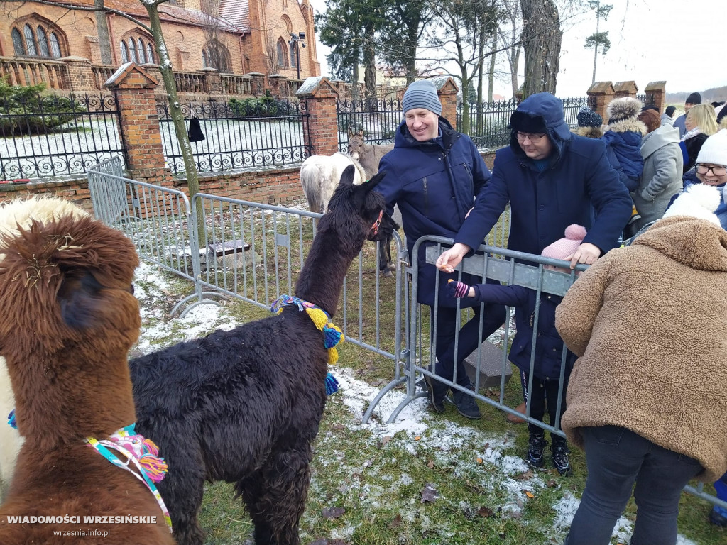 Żywa szopka przyciąga tłumy mieszkańców