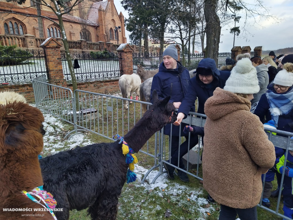 Żywa szopka przyciąga tłumy mieszkańców