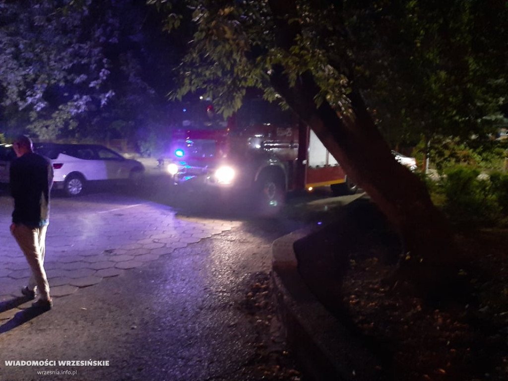 Silne wiatry. Strażacy interweniowali już 40 razy