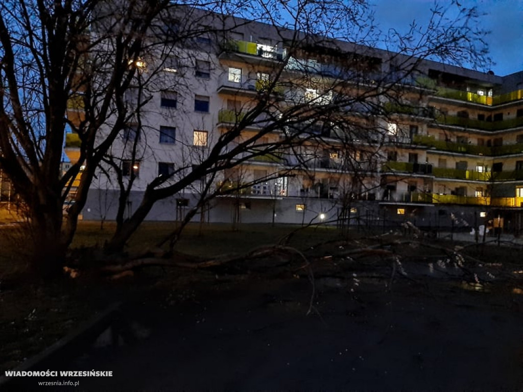 Silne wiatry. Strażacy interweniowali już 40 razy
