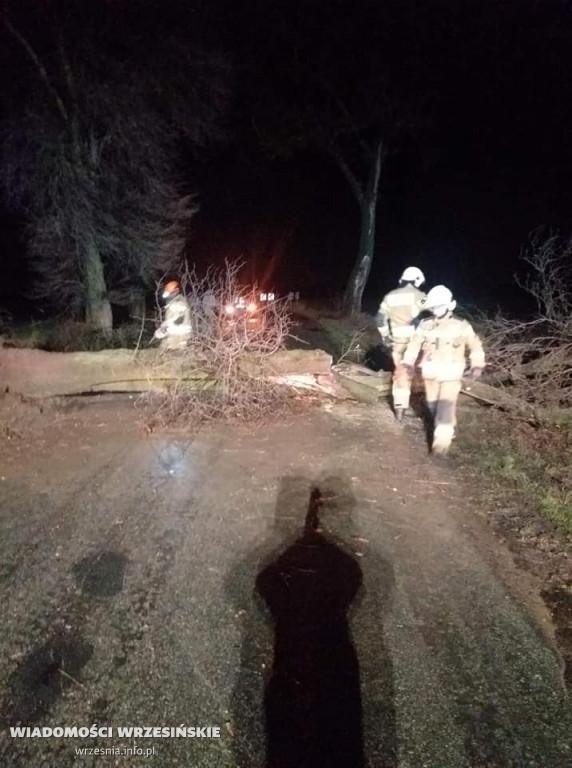Silne wiatry. Strażacy interweniowali już 40 razy