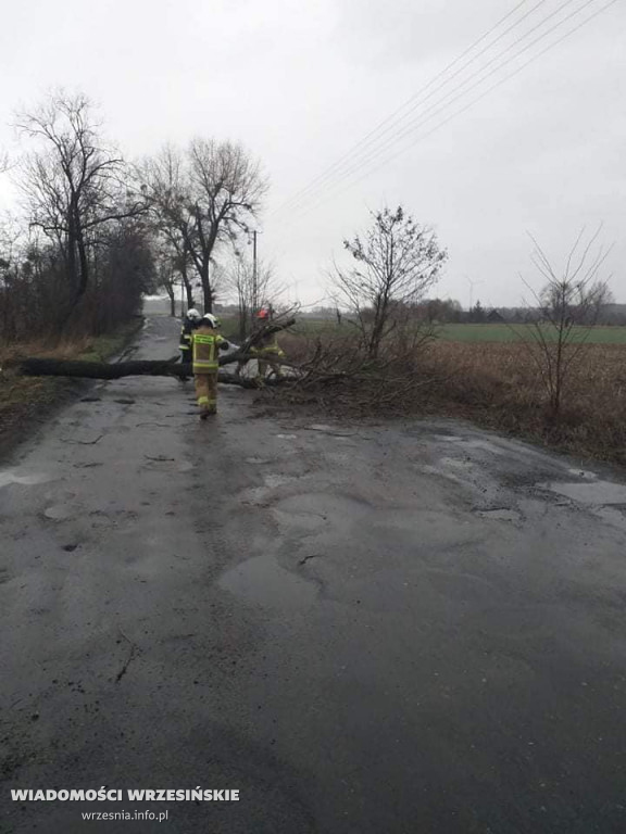 Silne wiatry. Strażacy interweniowali już 40 razy