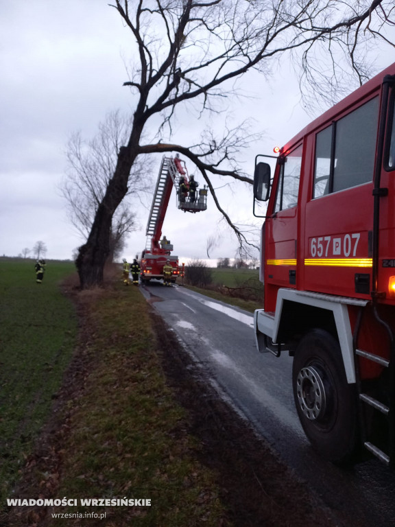 Silne wiatry. Strażacy interweniowali już 40 razy