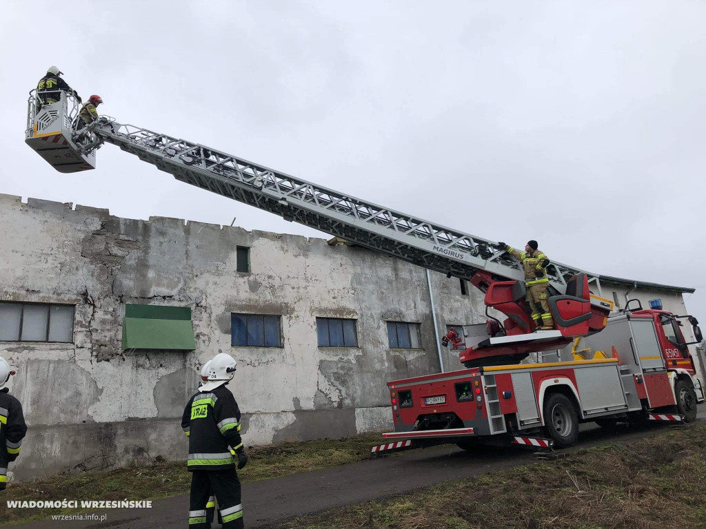 Silne wiatry. Strażacy interweniowali już 40 razy