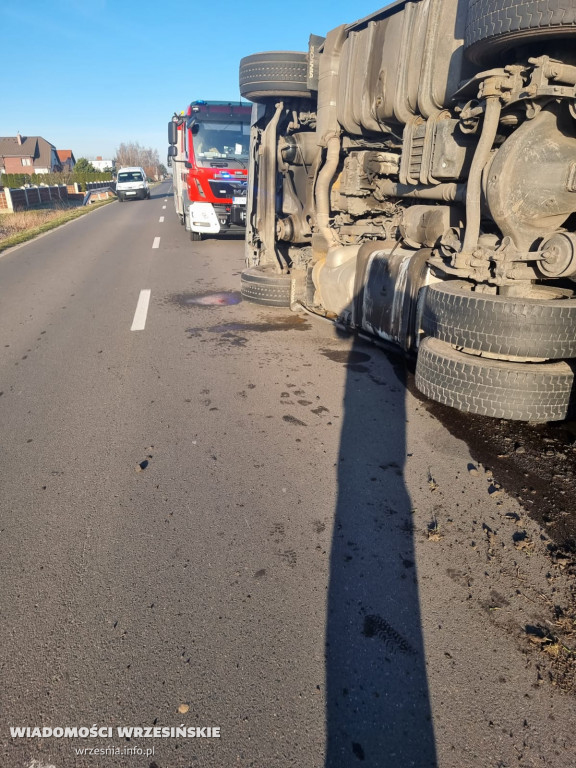 Przewróciła się ciężarówka z transportem świń