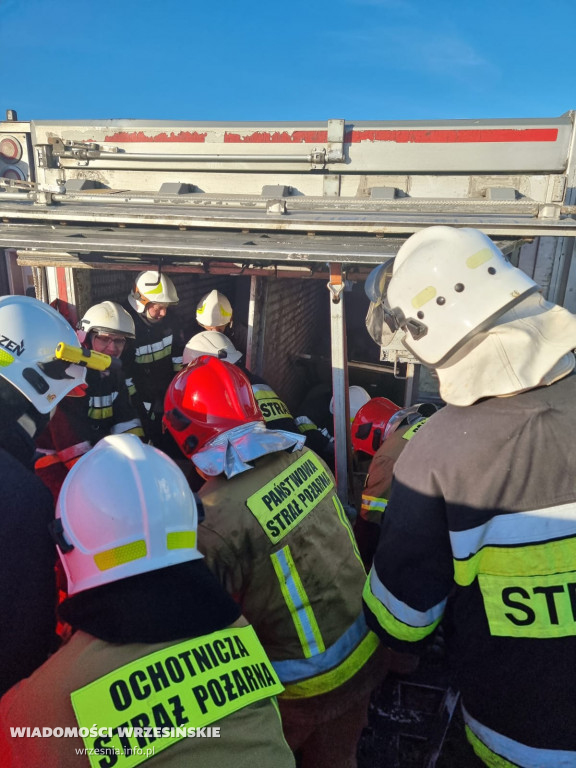 Przewróciła się ciężarówka z transportem świń