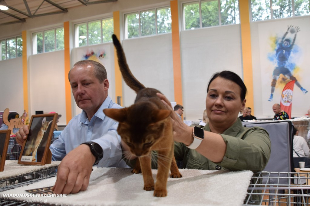 Pokaz kotów w ZSTiO, 22 maja