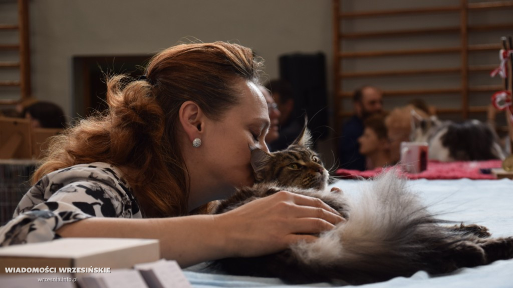 Pokaz kotów w ZSTiO, 22 maja
