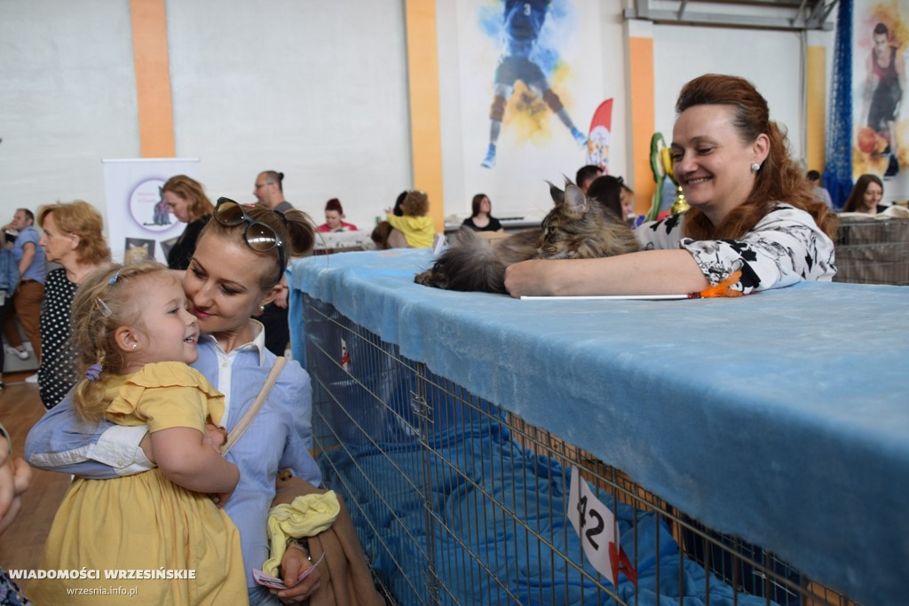 Pokaz kotów w ZSTiO, 22 maja