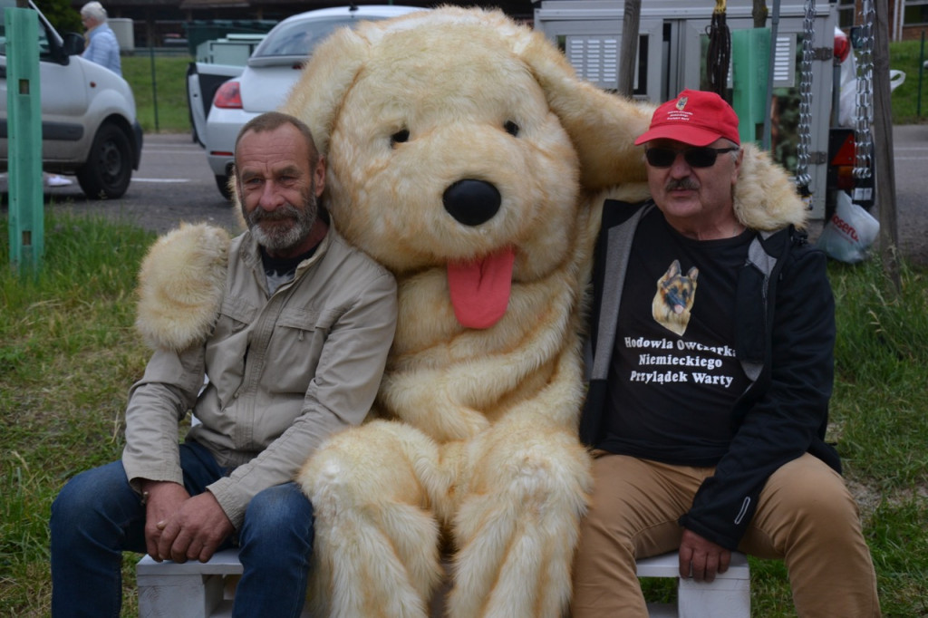Weekend na Wrzosowej z owczarkami niemieckimi