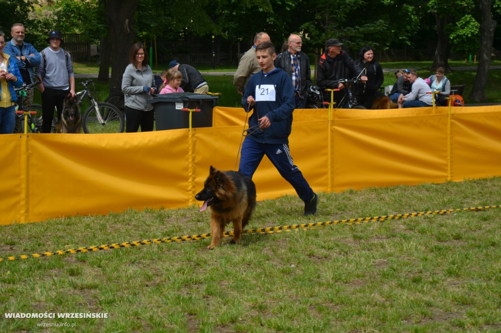 Weekend na Wrzosowej z owczarkami niemieckimi