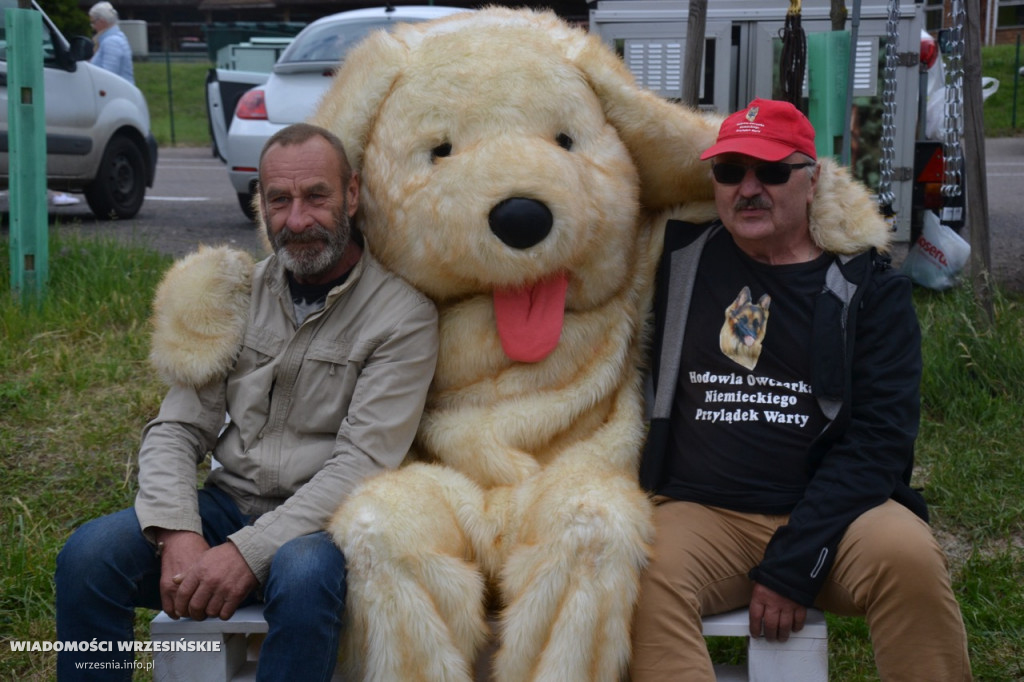Weekend na Wrzosowej z owczarkami niemieckimi