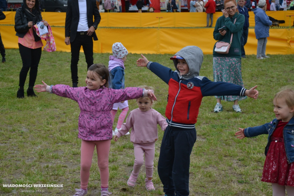 Weekend na Wrzosowej z owczarkami niemieckimi