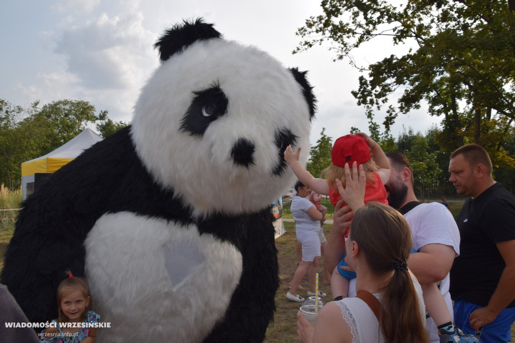 Food Truck Festival przy Wrzosowej