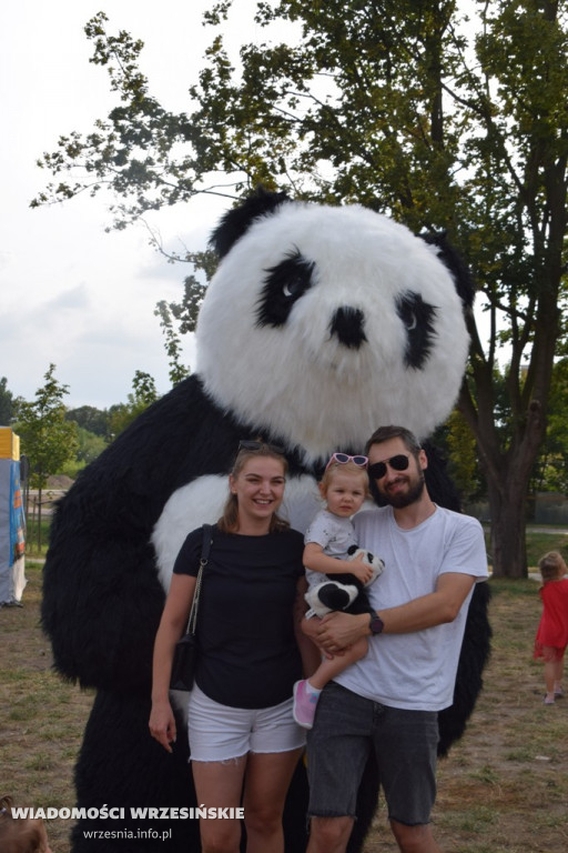 Food Truck Festival przy Wrzosowej
