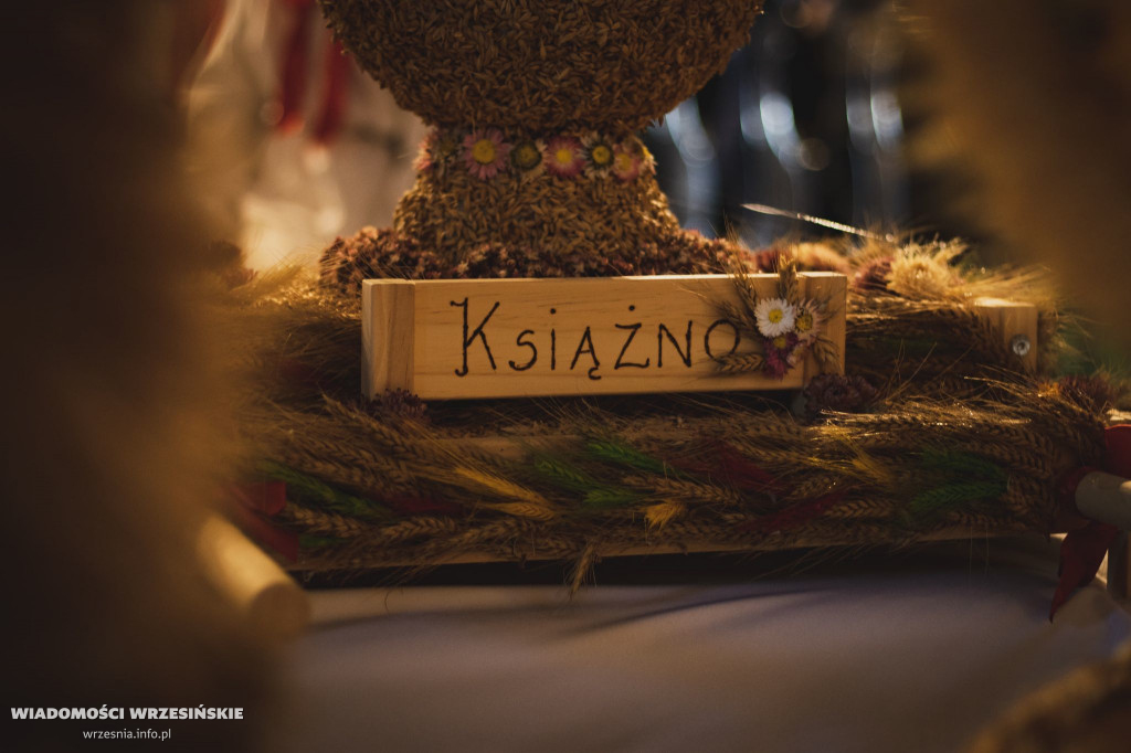 Było uroczyście i wesoło. Zobacz zdjęcia [FOTO]