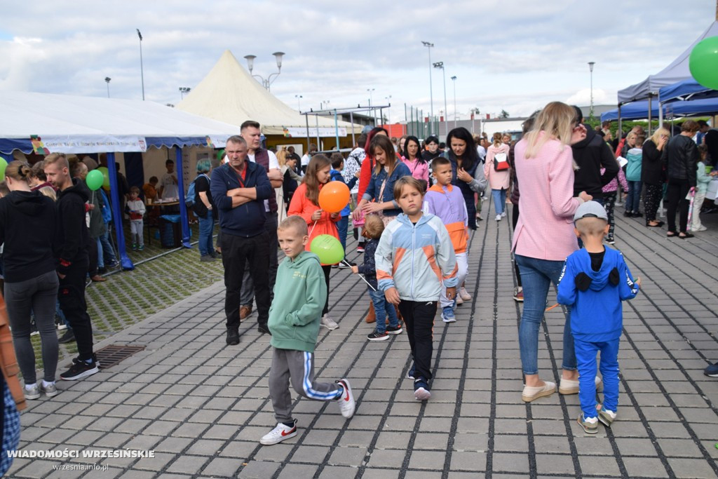 Powiatowy Piknik Naukowy
