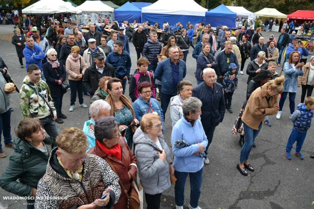 Powiatowe Dożynkowe Święto Smaków we Wrześni