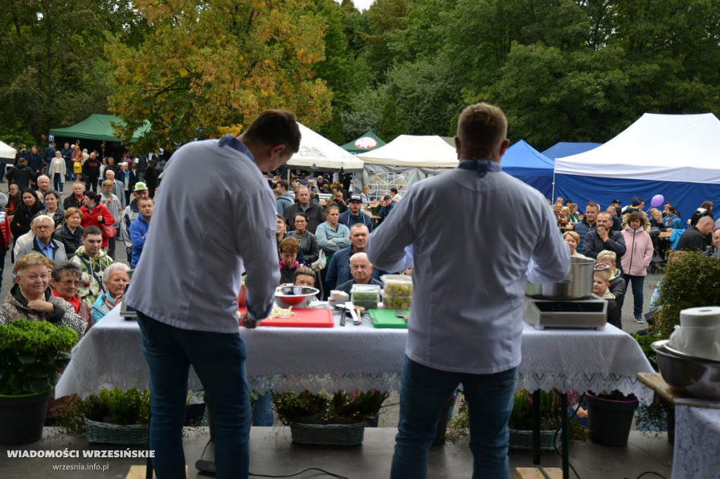 Powiatowe Dożynkowe Święto Smaków we Wrześni