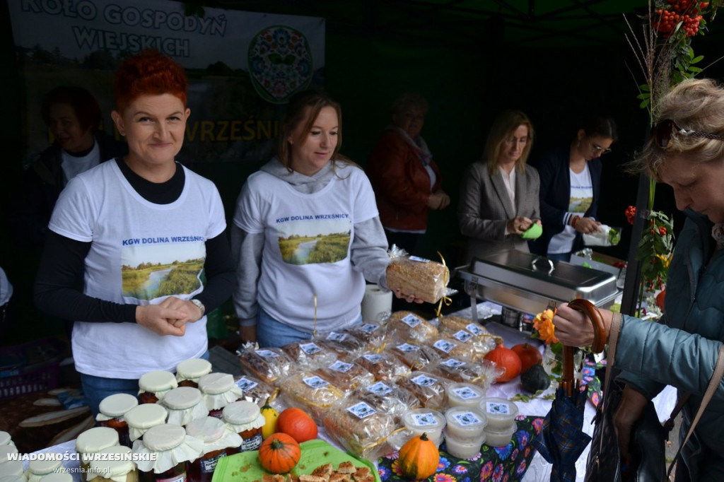 Powiatowe Dożynkowe Święto Smaków we Wrześni