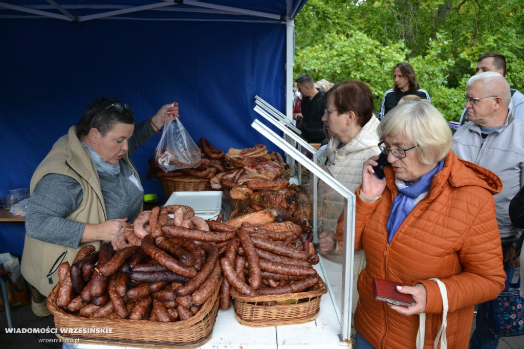 Powiatowe Dożynkowe Święto Smaków we Wrześni