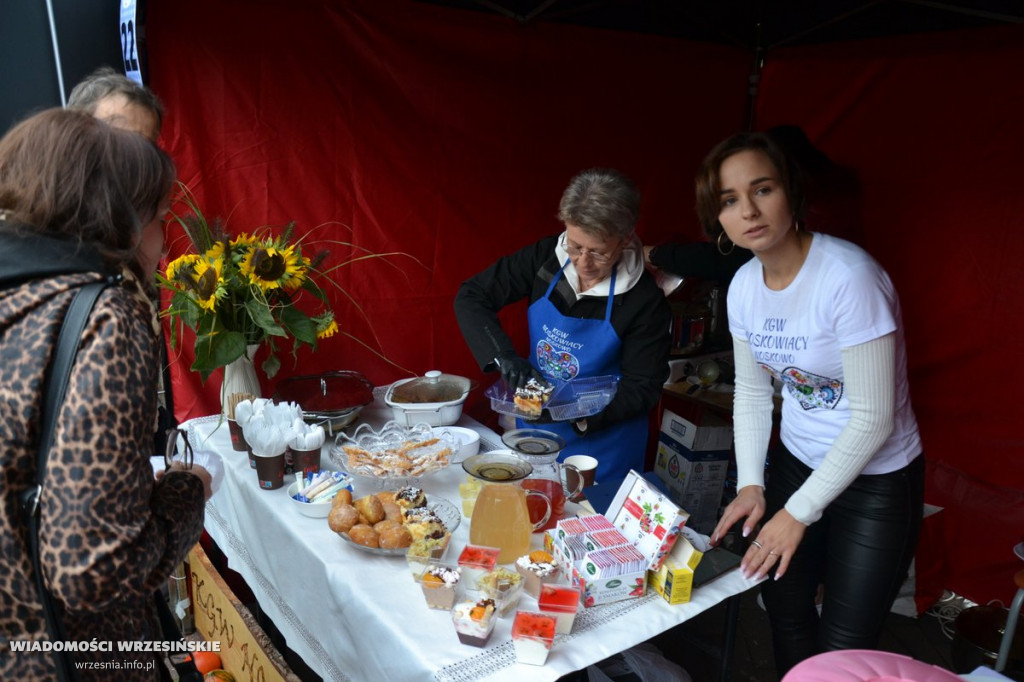 Powiatowe Dożynkowe Święto Smaków we Wrześni