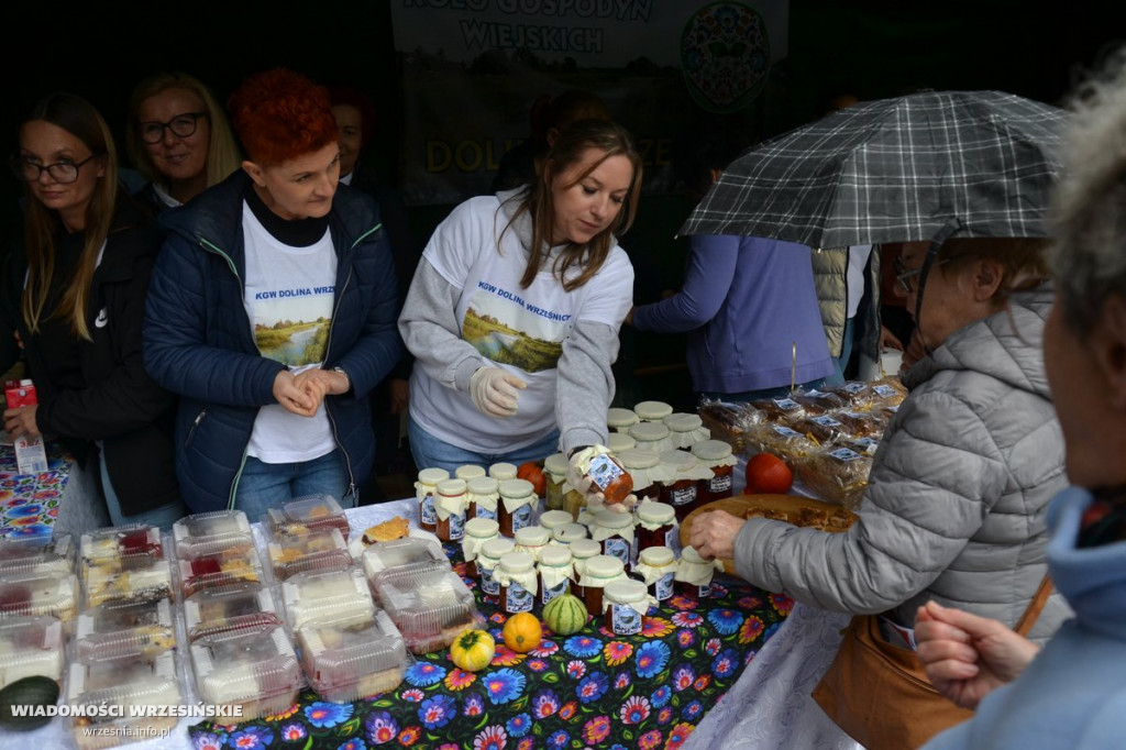 Powiatowe Dożynkowe Święto Smaków we Wrześni