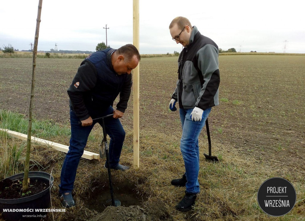 Nowe drzewa w Gozdowie oraz Gulczewie