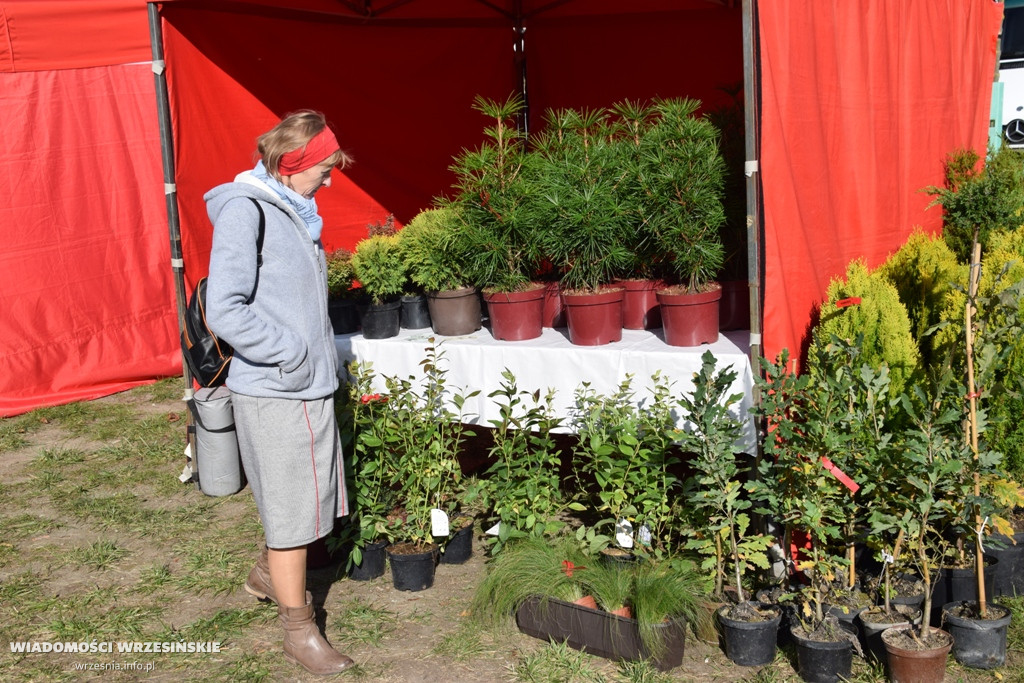 Jesienny piknik przy Wrzosowej