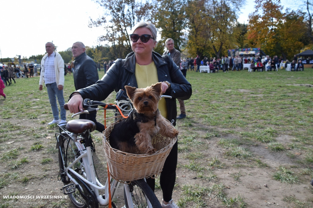 Jesienny piknik przy Wrzosowej